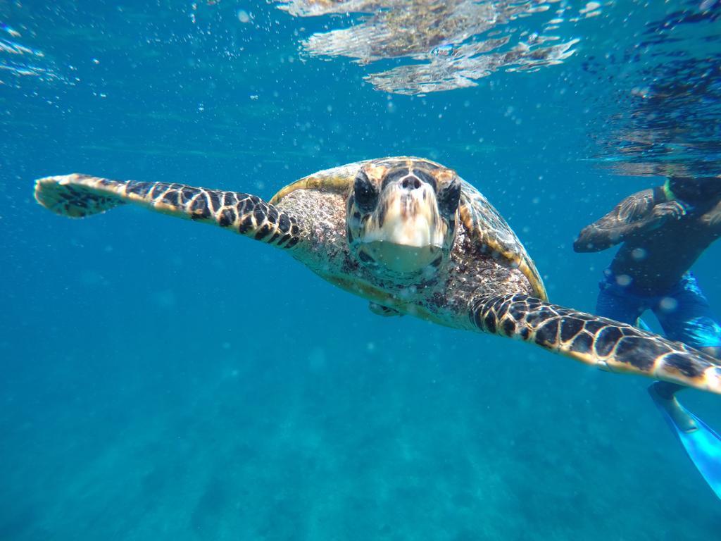 Hotel Maldives Seashine Huraa Zewnętrze zdjęcie