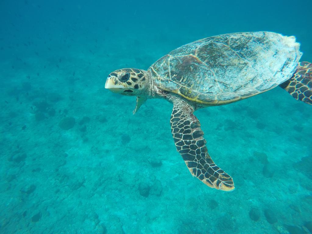 Hotel Maldives Seashine Huraa Zewnętrze zdjęcie