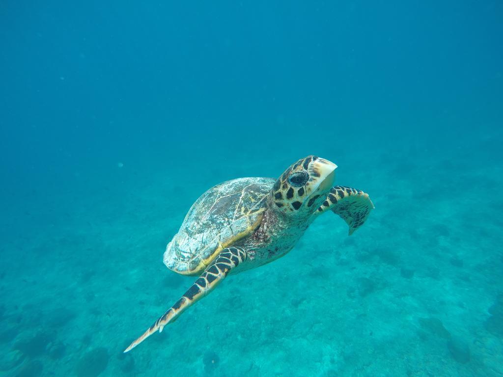 Hotel Maldives Seashine Huraa Zewnętrze zdjęcie