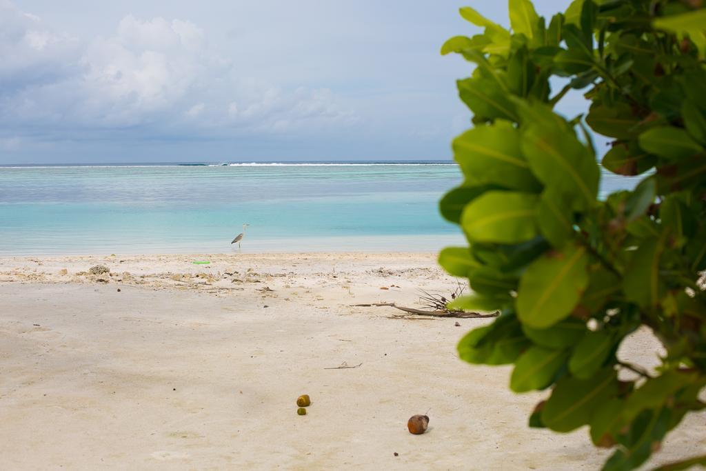 Hotel Maldives Seashine Huraa Zewnętrze zdjęcie