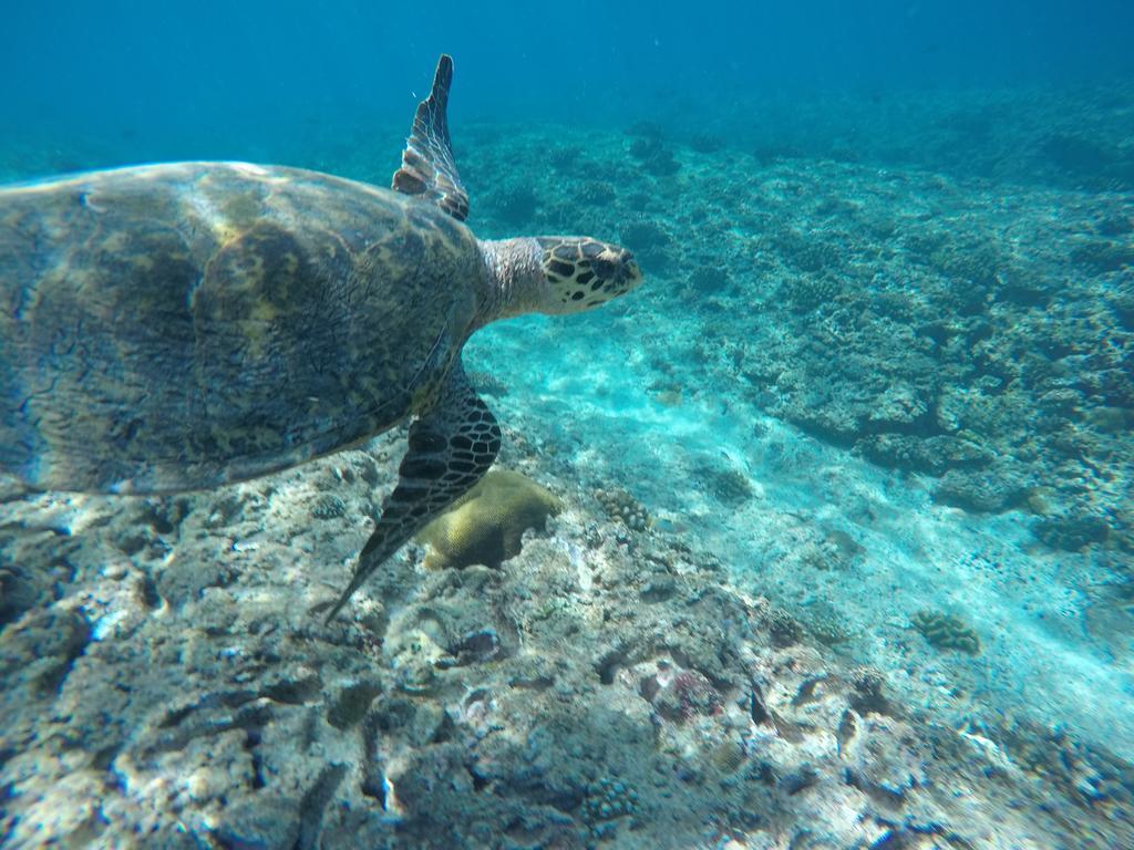 Hotel Maldives Seashine Huraa Zewnętrze zdjęcie