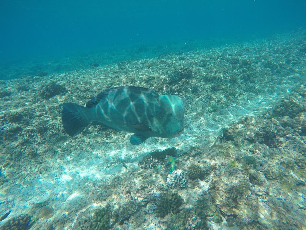 Hotel Maldives Seashine Huraa Zewnętrze zdjęcie
