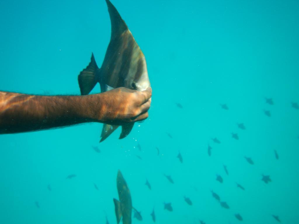 Hotel Maldives Seashine Huraa Zewnętrze zdjęcie